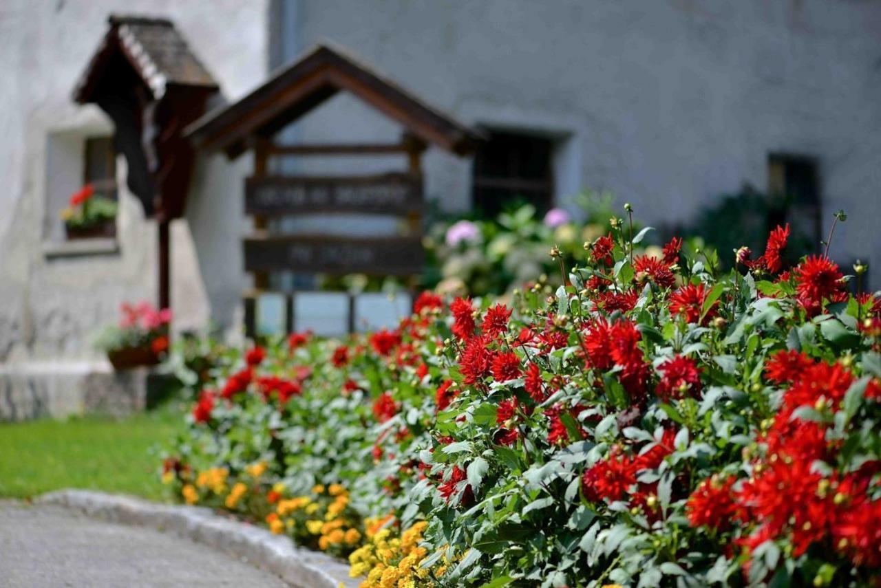 Apartamento Müllnerbauer Napplach Exterior foto